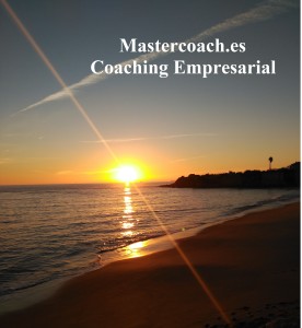 mastercoach palya1